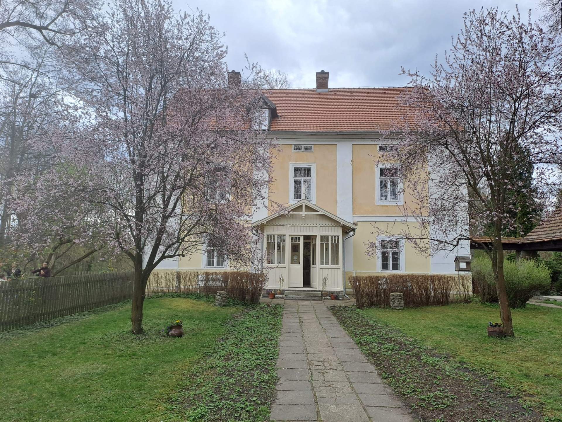Strž