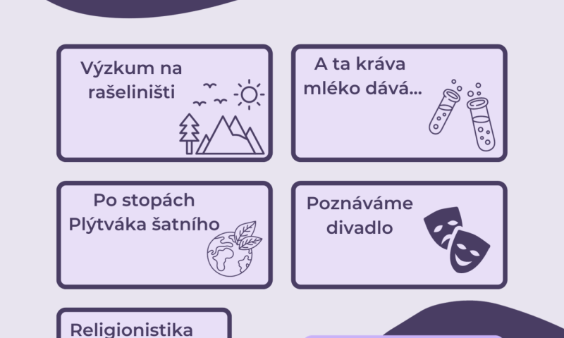 projektový den
