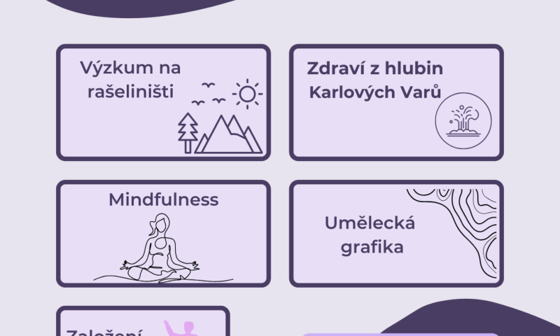 projektový den