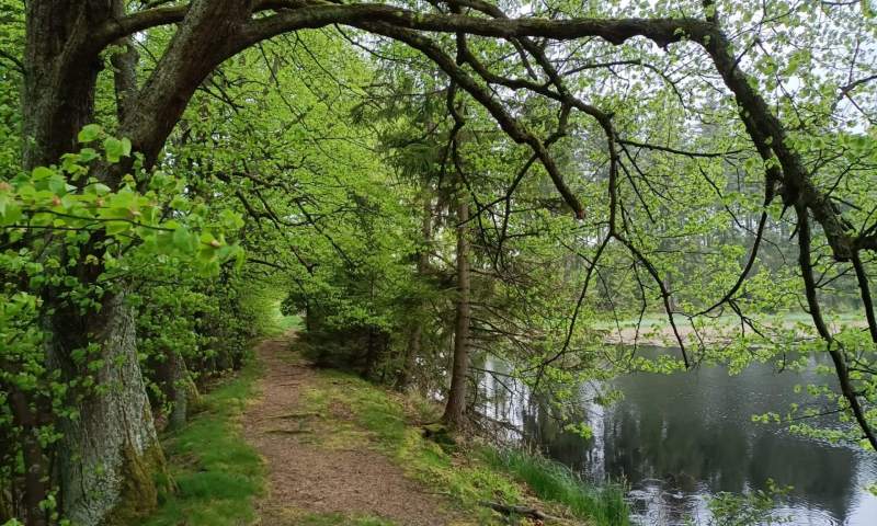 DofE