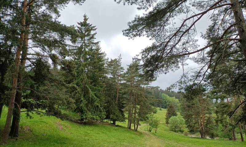 DofE