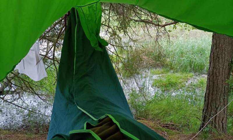 DofE