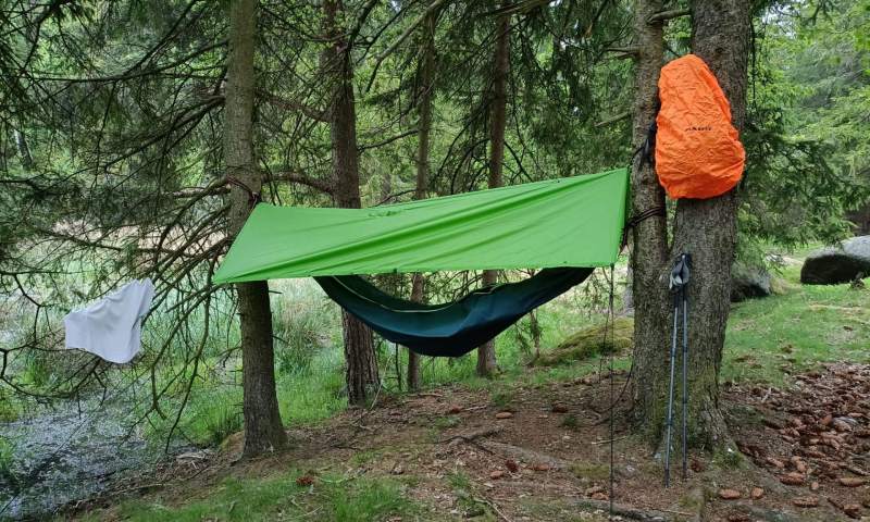 DofE