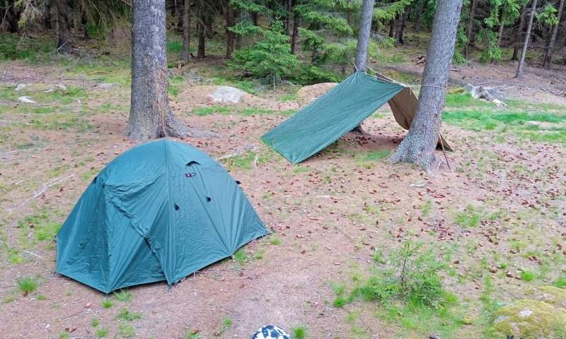 DofE