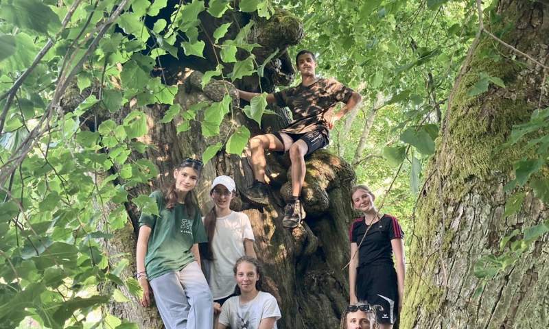 DofE