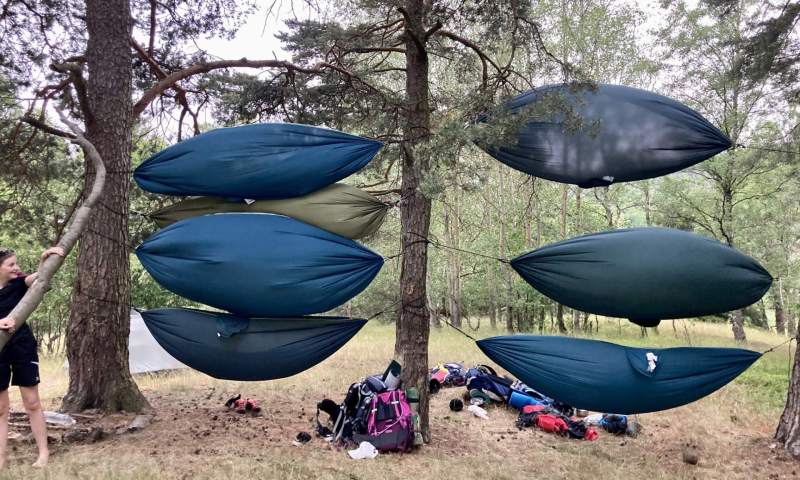 DofE