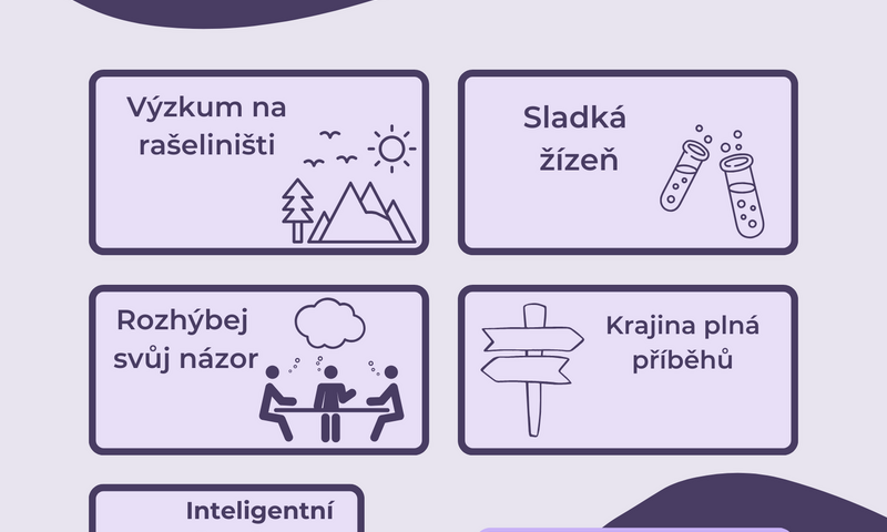 projektový den