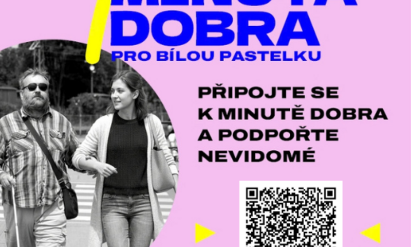 bílá pastelka