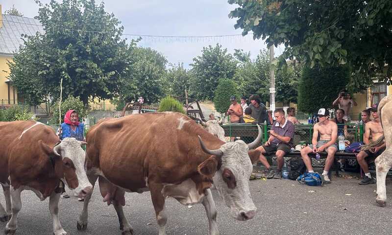 banát