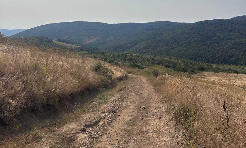 banát