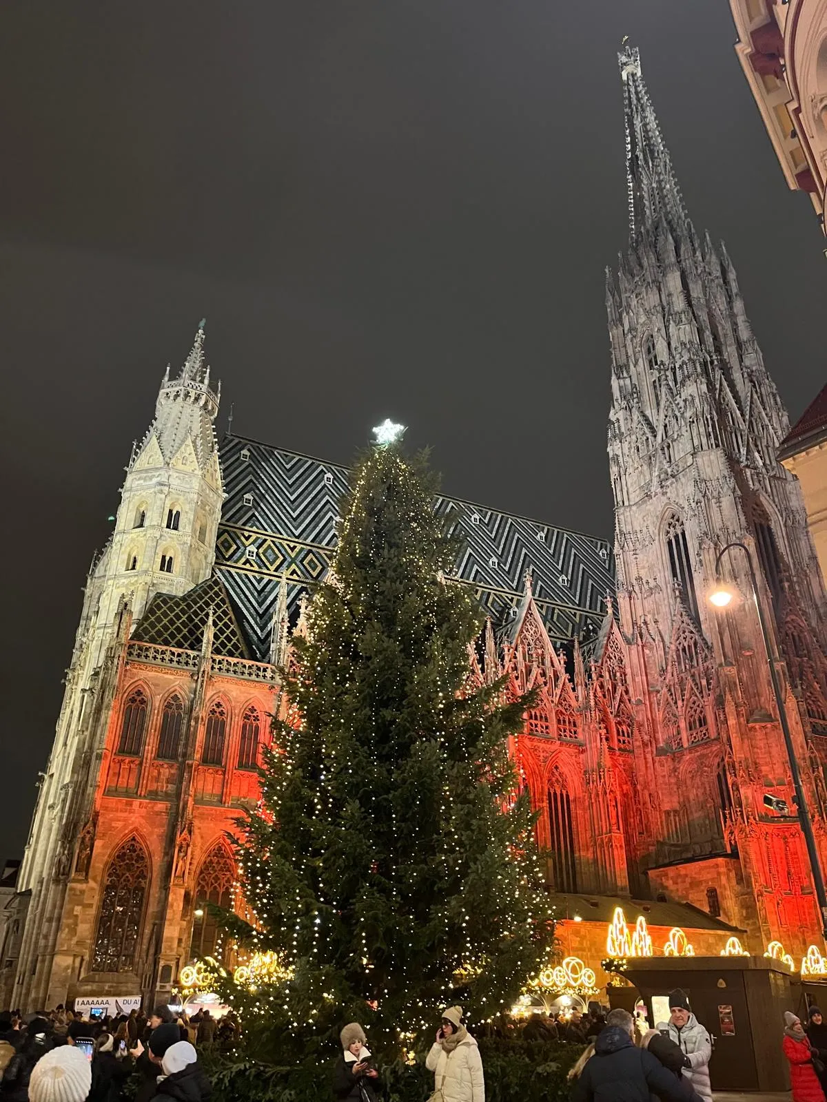 vídeň